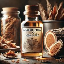 Asafoetida Oleoresin W/S In Kailash Colony