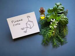 Beta Pinene In Andaman and Nicobar Islands
