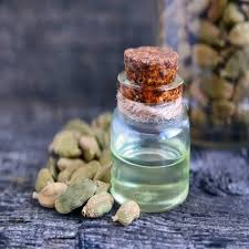 Cardamom Oleoresin In Kailash Colony