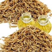 Cumin Seed Oleoresin W/S In Andaman and Nicobar Islands