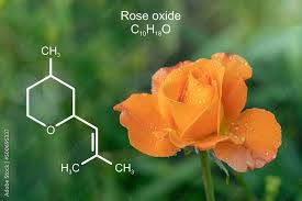 Rose Oxide In Kailash Colony
