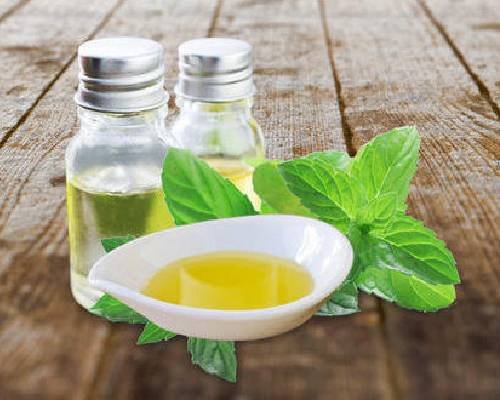Mentha Arvensis Oil