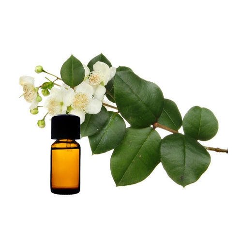 Myrtle Oil