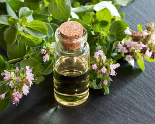 Oregano Oil