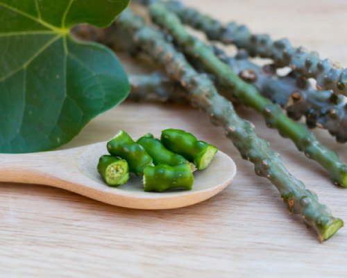 Tinospora Cordifolia